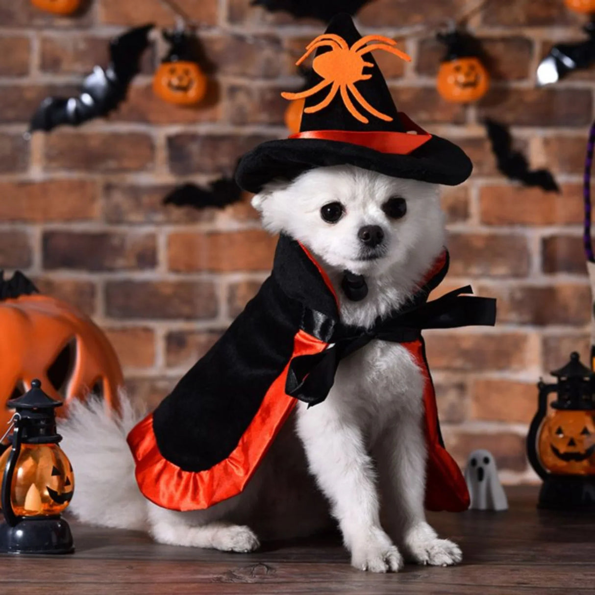 Halloween Pet Costume - Cute Wizard Outfit with Black Hat & Cape, Soft Polyester Costume for Small Dogs, Puppies, Cats - Easy-to-Wear Halloween Party Costume for Trick-or-Treat, Photo Shoots - Perfect for Halloween Celebratio