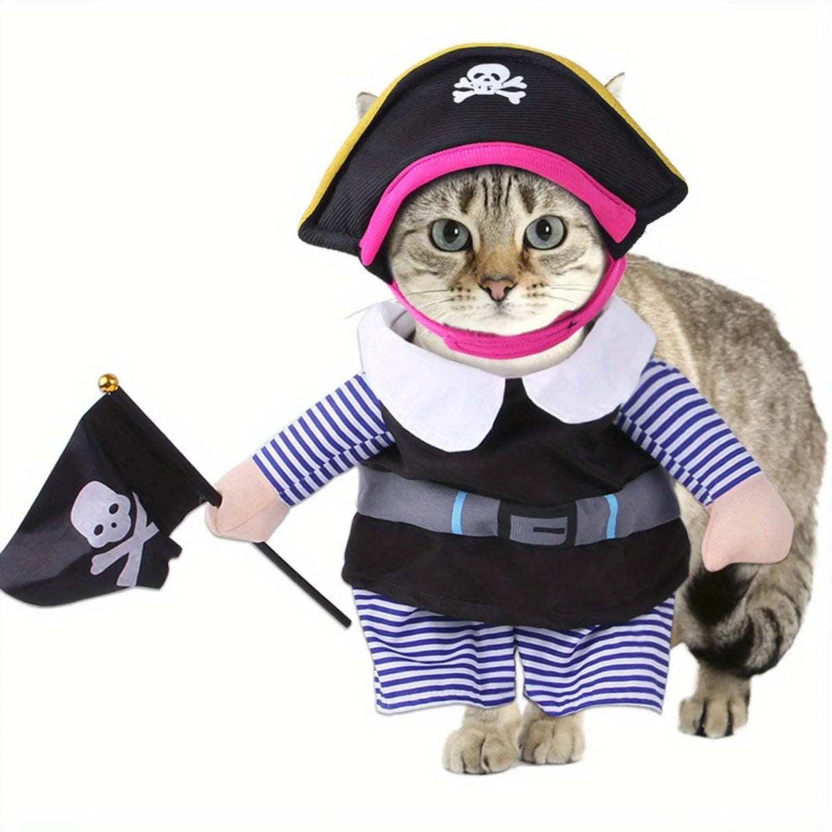 Pet Transformation Outfit New Pirate Standing Outfit Pirate Look, Dog Outing, Cat Funny Makeover Clothes