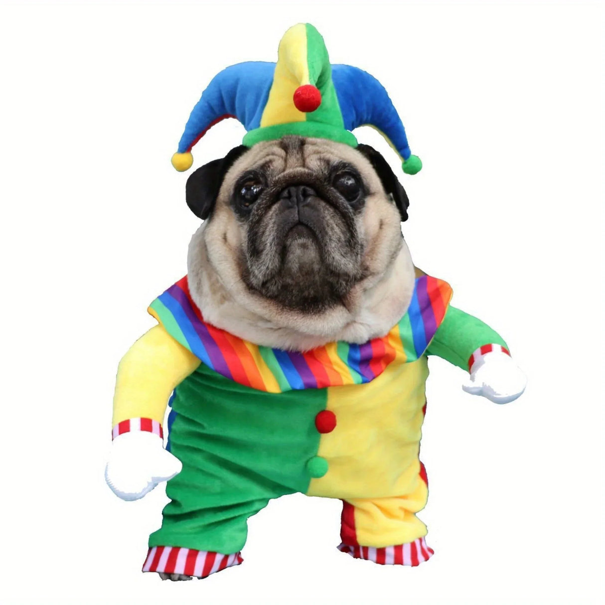 Halloween Clown Costume for Small Dogs & Cats - Funny Pet Costume with Jester Hat, Easy Slip-On Outfit, Soft Polyester Dog Clothes for Pug, Pomeranian, Chihuahua - Cute Halloween Party Costume