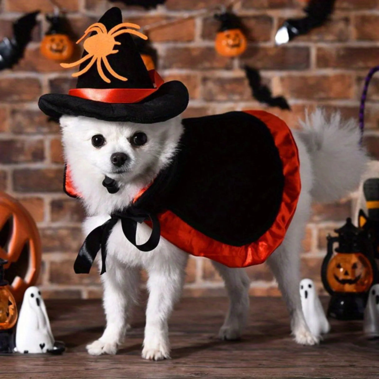 Halloween Pet Costume - Cute Wizard Outfit with Black Hat & Cape, Soft Polyester Costume for Small Dogs, Puppies, Cats - Easy-to-Wear Halloween Party Costume for Trick-or-Treat, Photo Shoots - Perfect for Halloween Celebratio