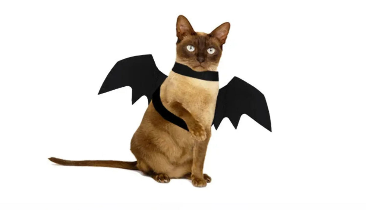 Halloween Costume for Dogs Pet Bat Wings Cat Dog Bat Costume Wings Dress Up Pet Accessories Party Pet Costume Puppy Wing