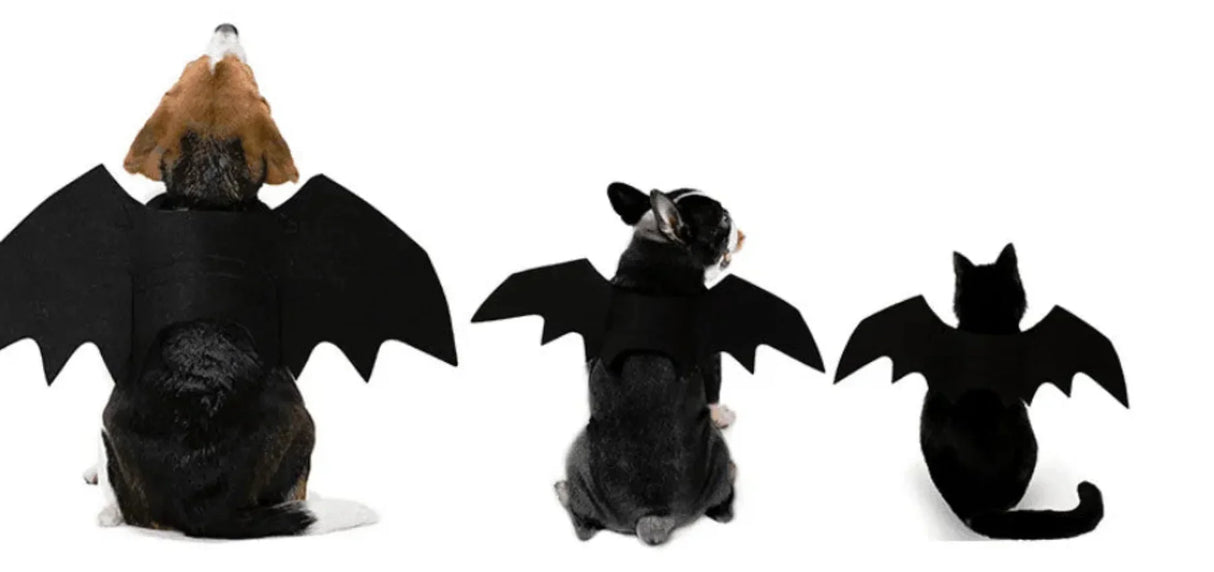 Halloween Costume for Dogs Pet Bat Wings Cat Dog Bat Costume Wings Dress Up Pet Accessories Party Pet Costume Puppy Wing