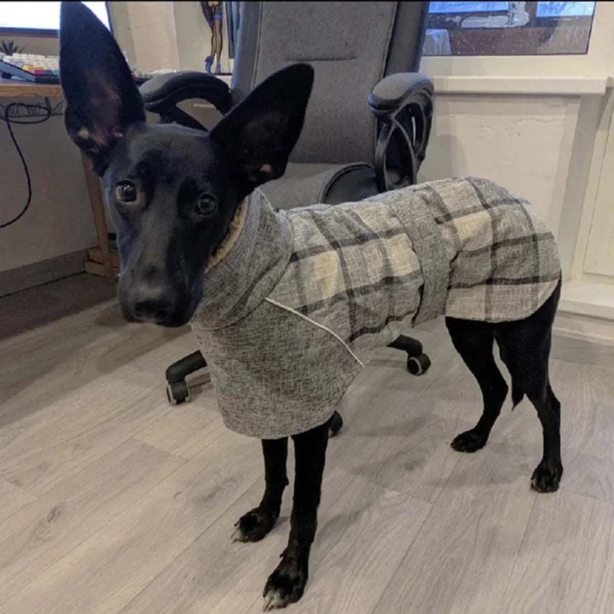 Warm Fleece Winter Big Dog Clothes Fashion Plaid Print  Pet Jacket with Belt for Medium Large Dogs Greyhound Weimaraner Clothing