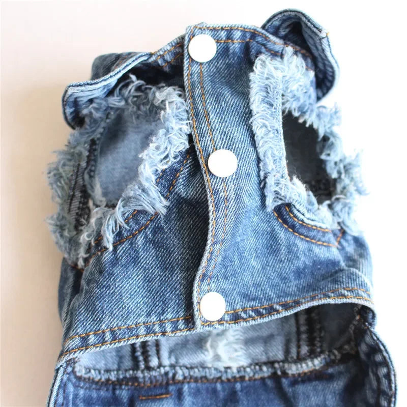 Spring Denim Dog Vest Shih Tzu Clothes for Small Dogs Yorkshire Terrier Puppy Jeans Jacket for Chihuahua Apparel Cat Clothes
