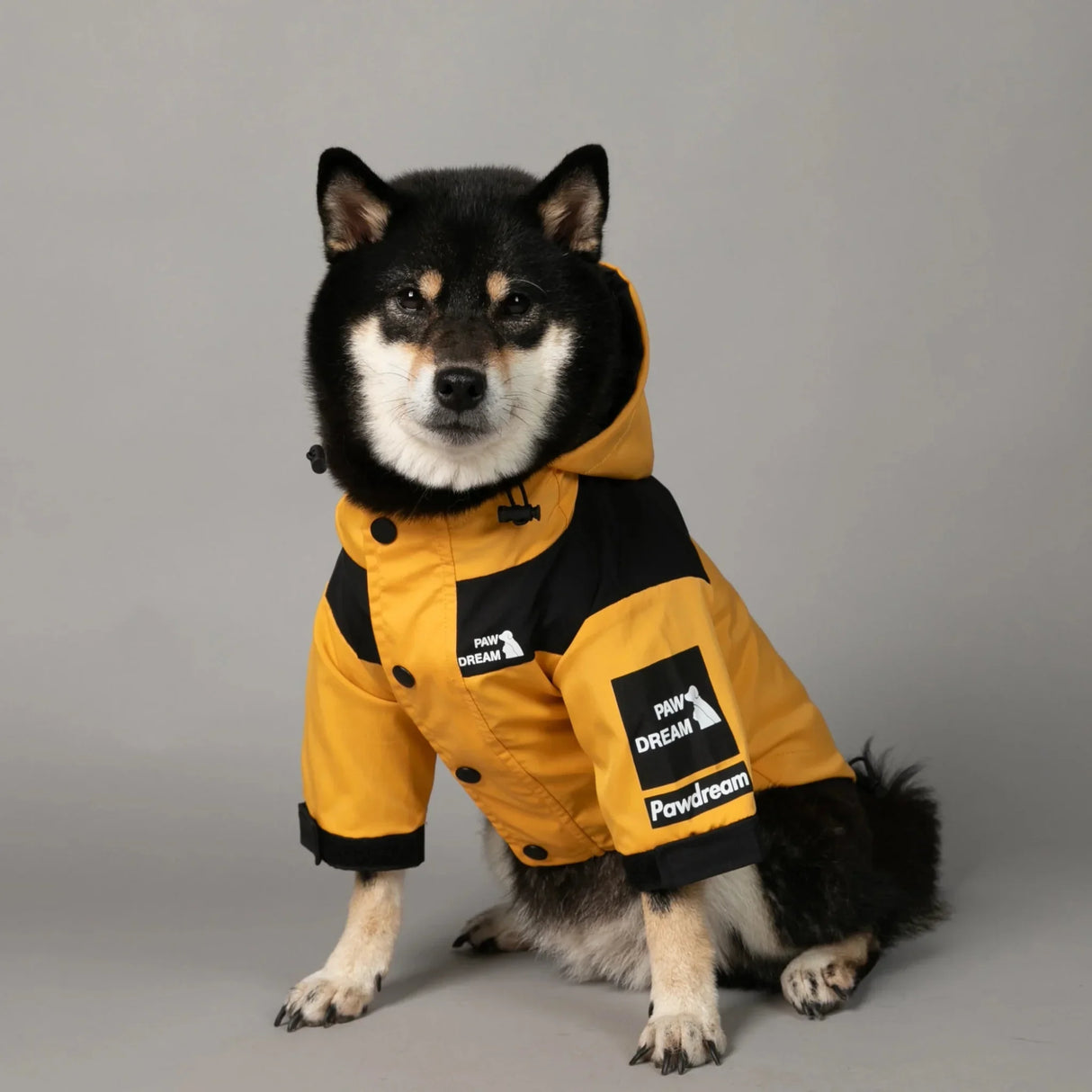 PawDream Dog Clothes Raincoat For Small Big Dogs Wind Coat Windbreaker French Bulldog Hoodie For Dogs Clothes Jacket Chihuahua