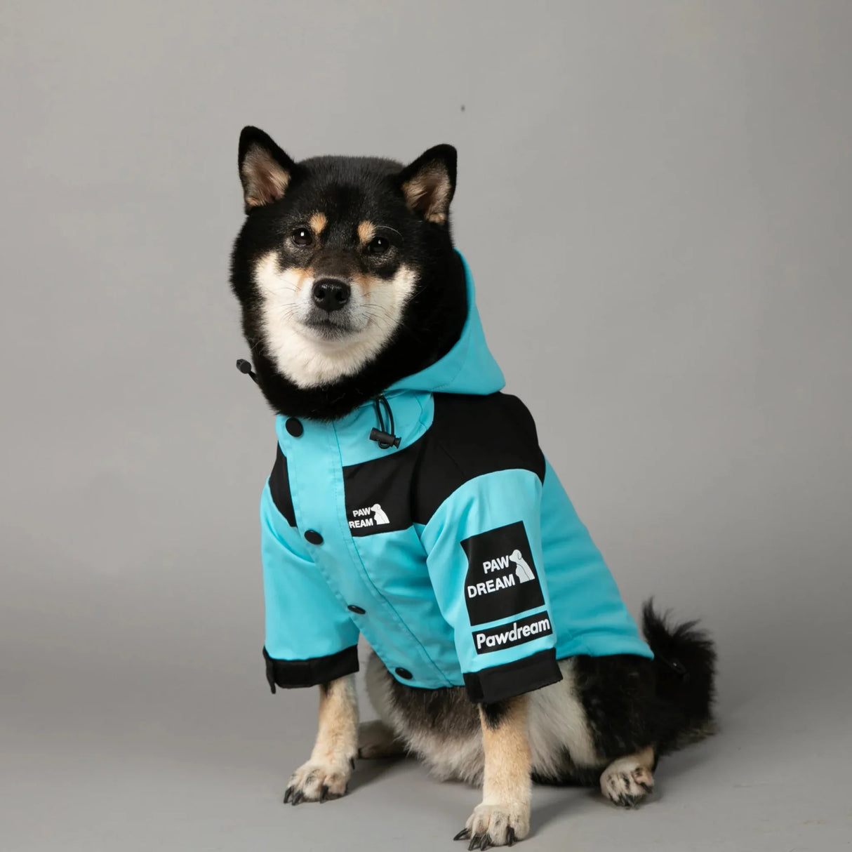 PawDream Dog Clothes Raincoat For Small Big Dogs Wind Coat Windbreaker French Bulldog Hoodie For Dogs Clothes Jacket Chihuahua