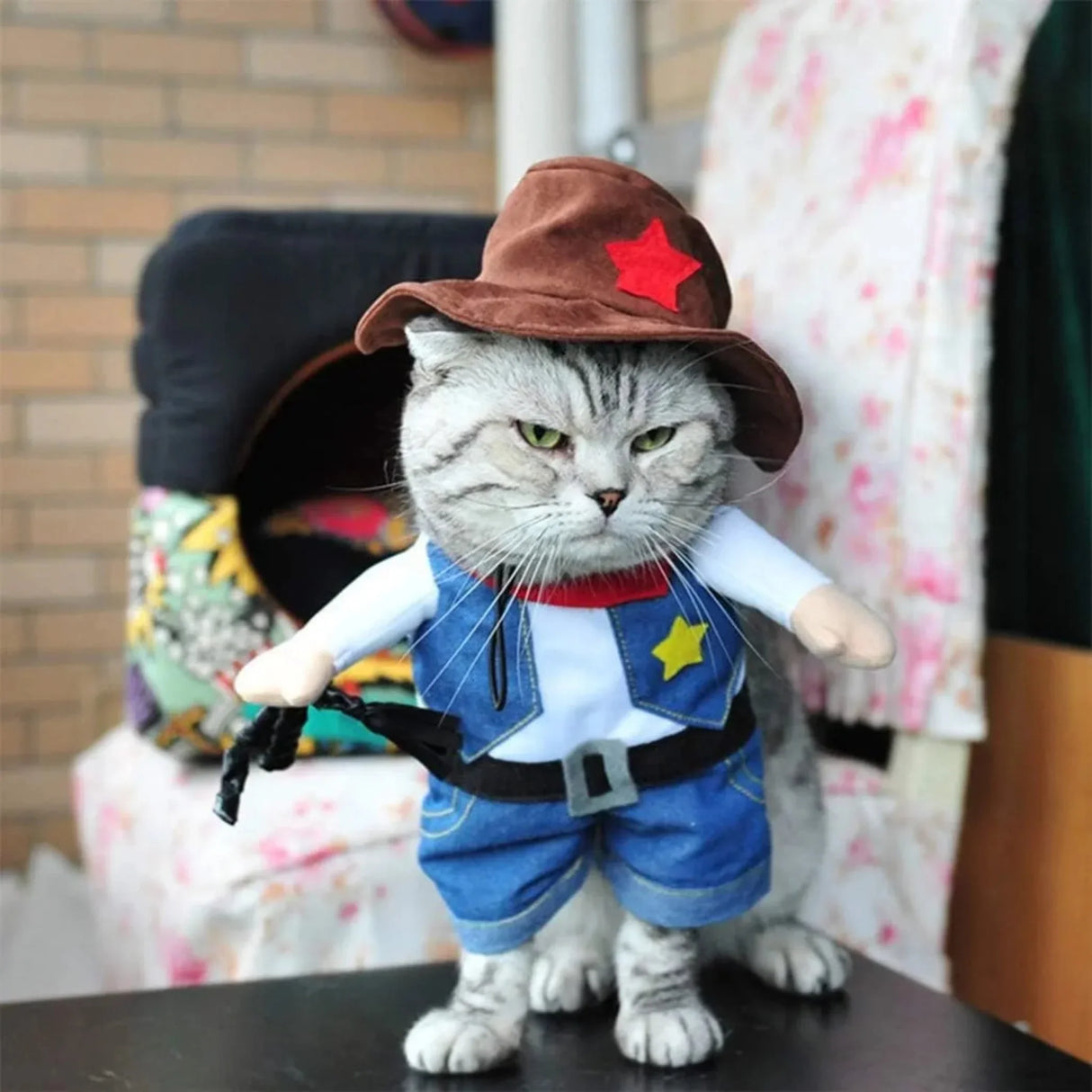 TONG Pet Dog Cat Costume Cowboy Jeans Hoodie Shirts Cowboy Cat Dog Costume with Hat Dog Clothes Halloween Costumes for Cat