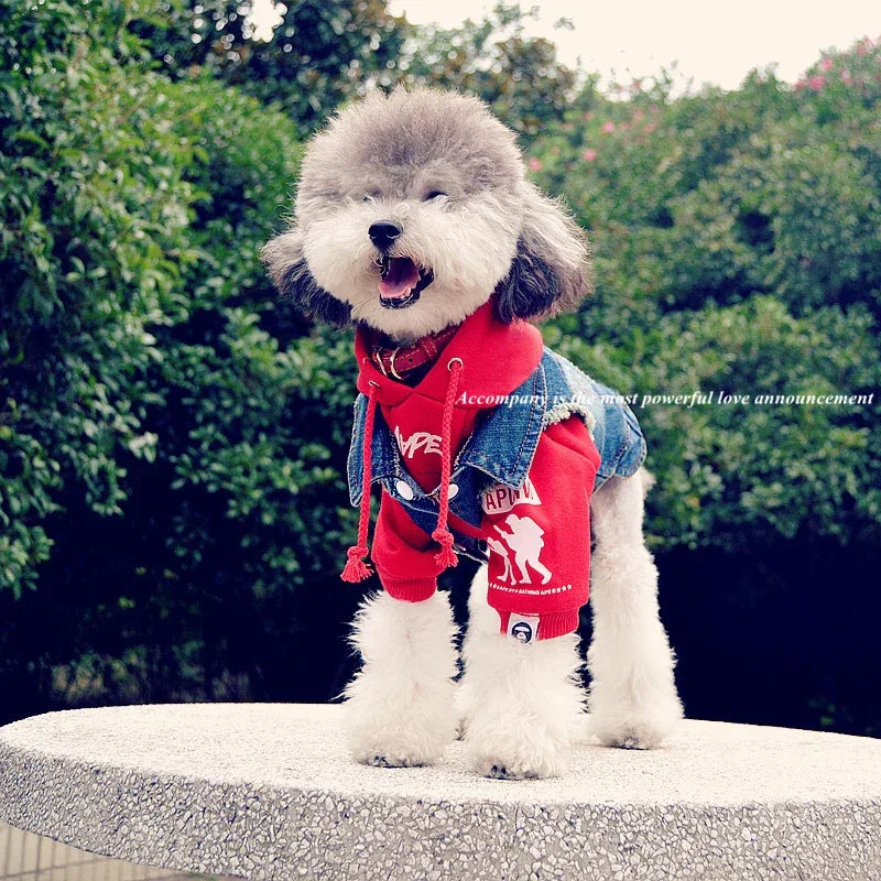 Spring Denim Dog Vest Shih Tzu Clothes for Small Dogs Yorkshire Terrier Puppy Jeans Jacket for Chihuahua Apparel Cat Clothes