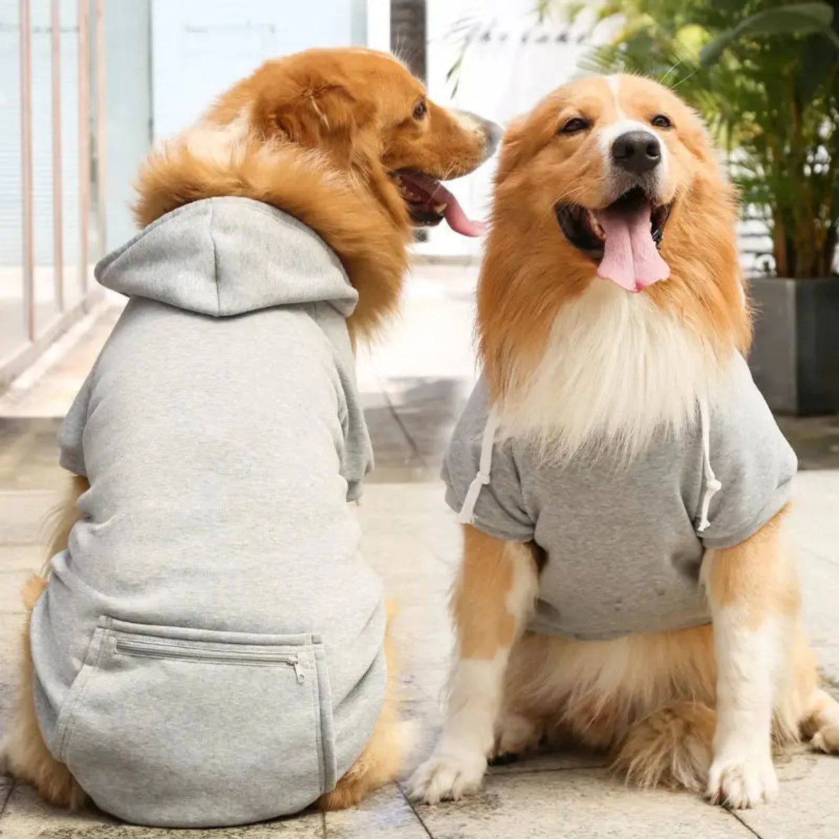 Autumn and Winter Dog Clothes dog Sport Hoodies Sweatshirts Warm Coat Clothing for Medium Large Dogs Big Dogs Pets Puppy Outfi