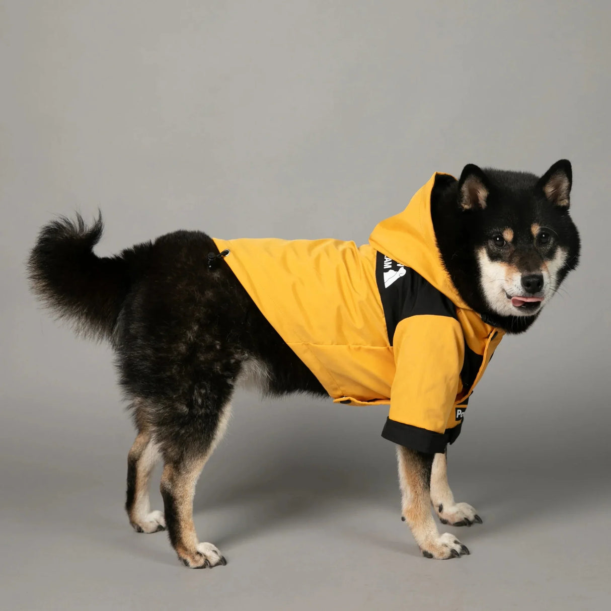 PawDream Dog Clothes Raincoat For Small Big Dogs Wind Coat Windbreaker French Bulldog Hoodie For Dogs Clothes Jacket Chihuahua