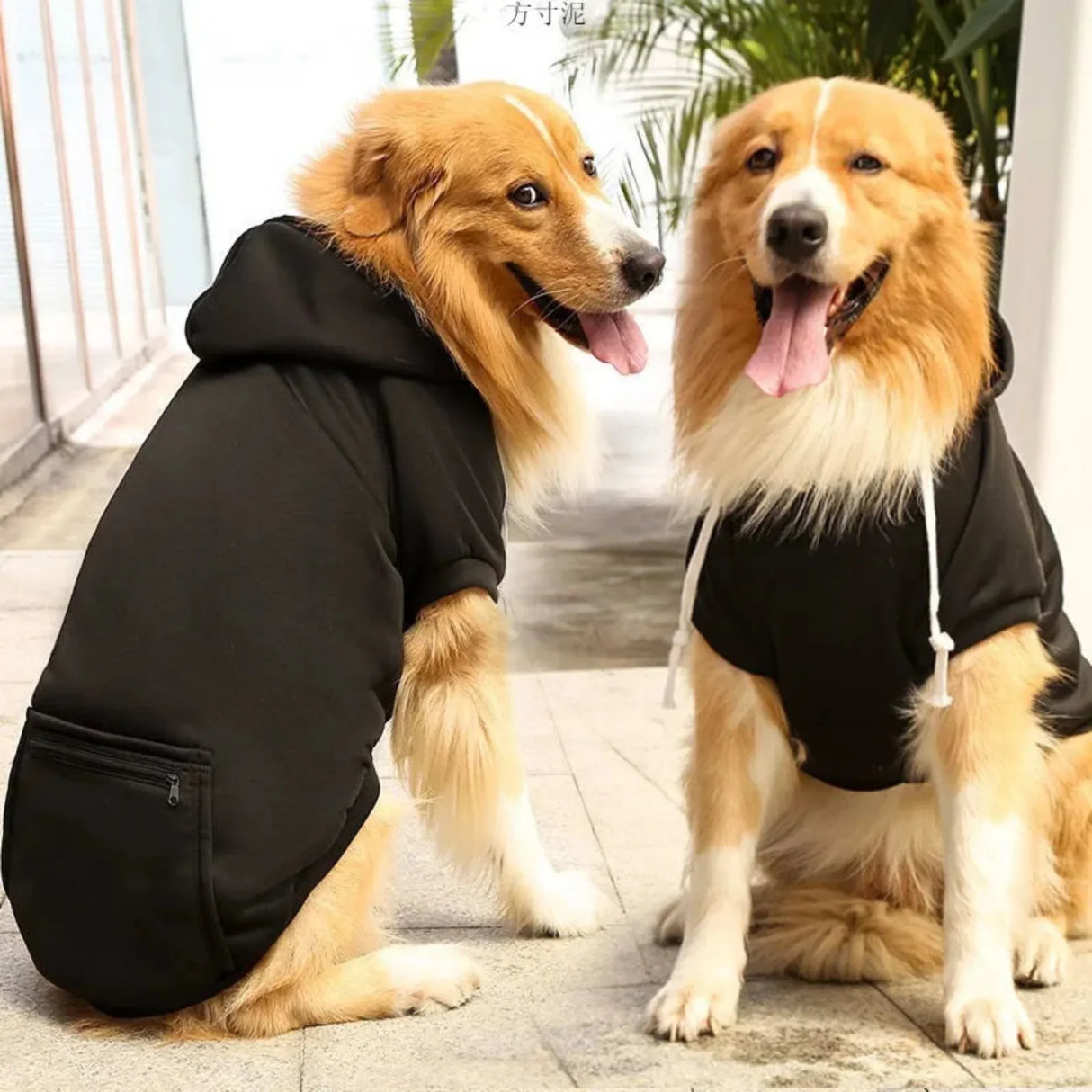 Autumn and Winter Dog Clothes dog Sport Hoodies Sweatshirts Warm Coat Clothing for Medium Large Dogs Big Dogs Pets Puppy Outfi