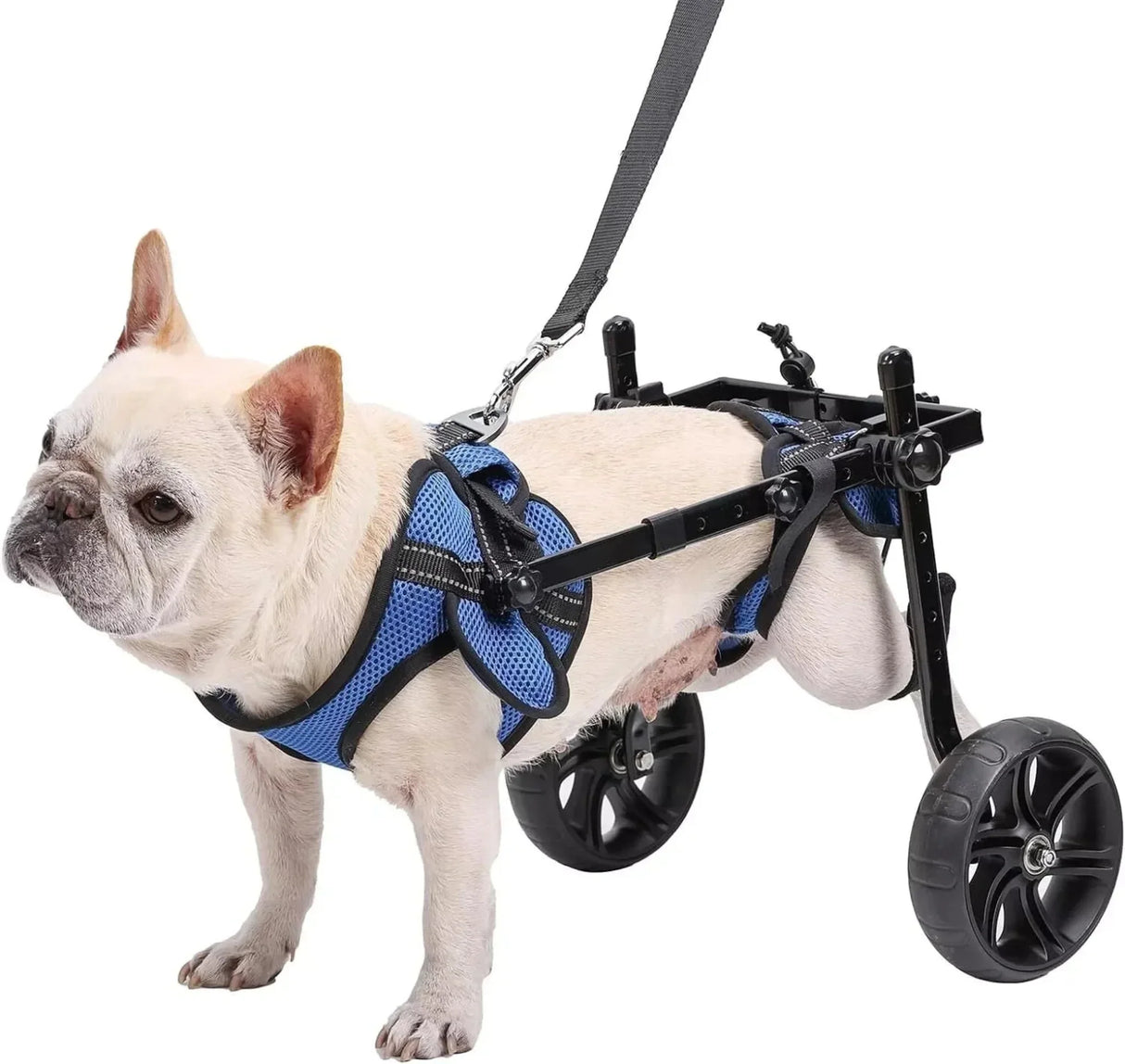 Dog Wheelchair for Back Legs with Upgraded All-Terrain Tires & Durable Bearings, Adjustable Dog Wheelchair, Reflective Safety De