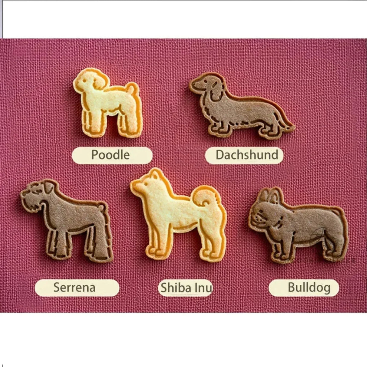 5Pcs/Set Dog Cookie Cutter Mold Cute Puppy Biscuit Stamp Embossers 3D Pastry Nut Jam Sandwich Cookie Hand Pressed Baking Items