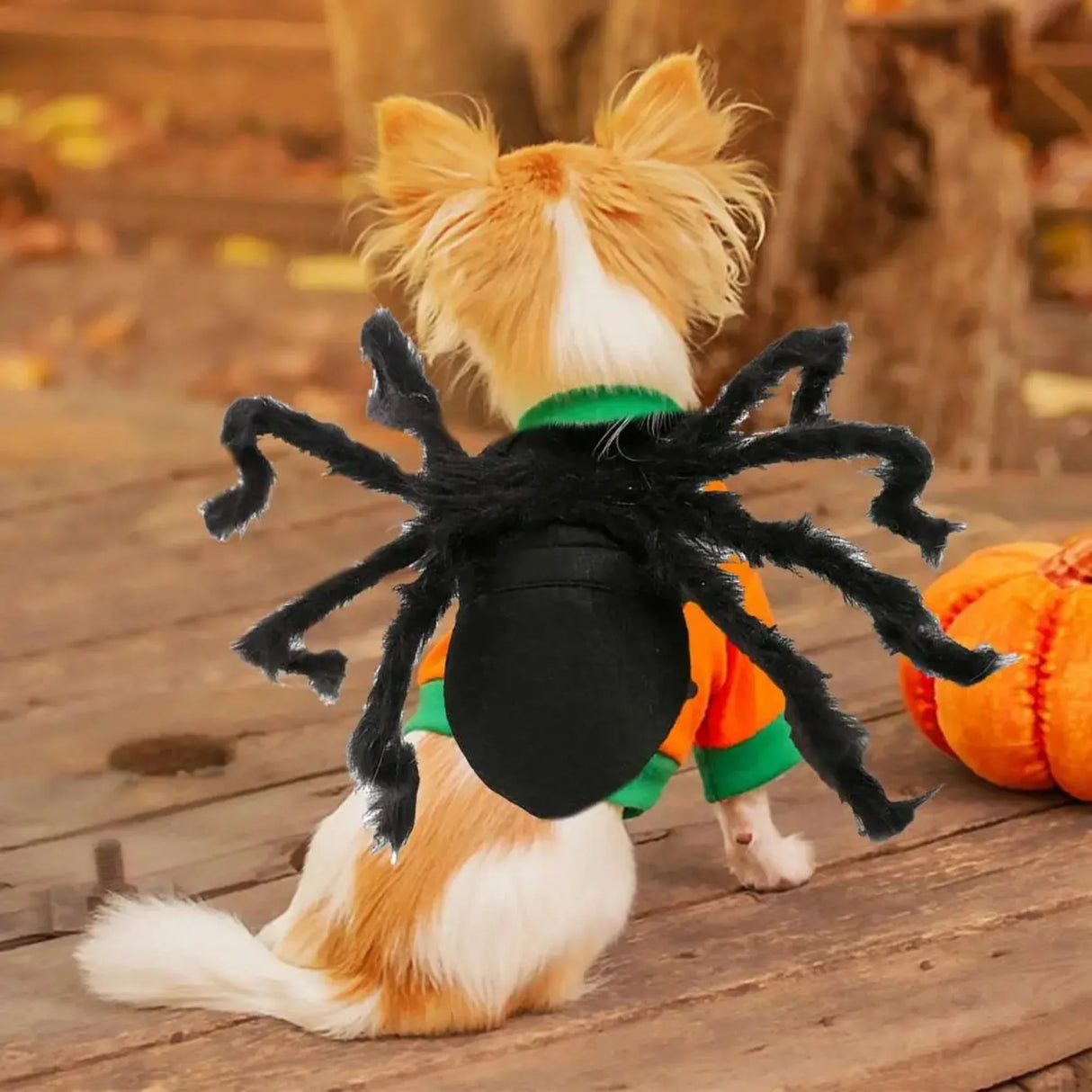 Spider Costume For Dogs Cosplay Outfit Props Halloween Dress Up Clothes Halloween Party Costume Dress Up Props For Cats Puppies