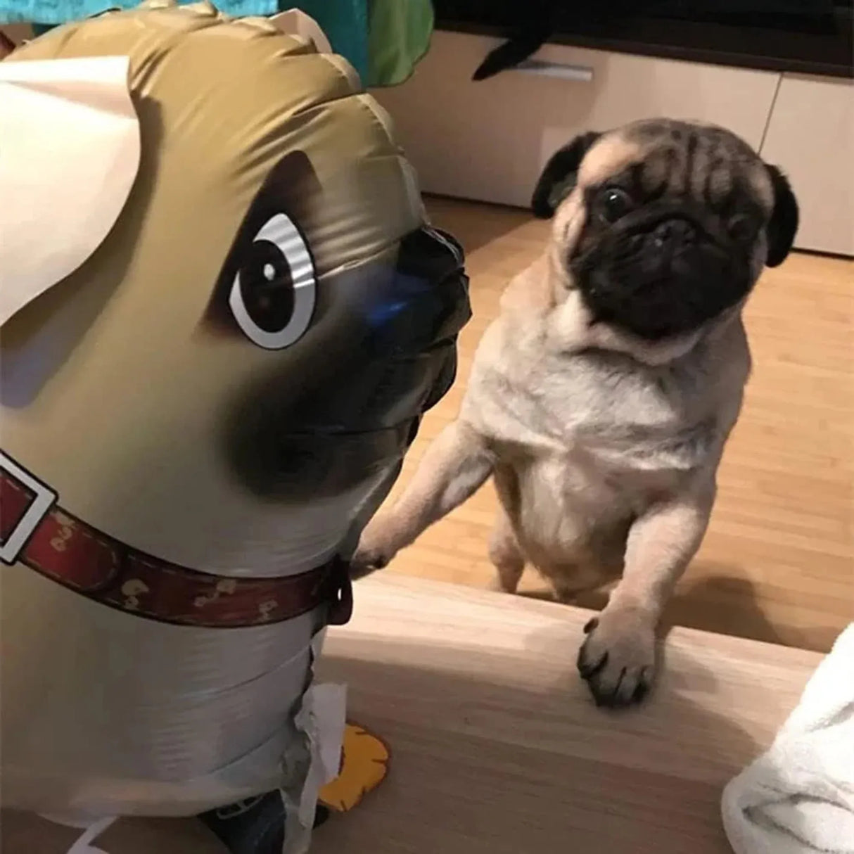 6 Pieces Walking Animal Balloon Pet Dog Balloon, Puppy Balloon Air Walker Birthday Party Supplies Balloon Animal Theme Birthday Party Decoration