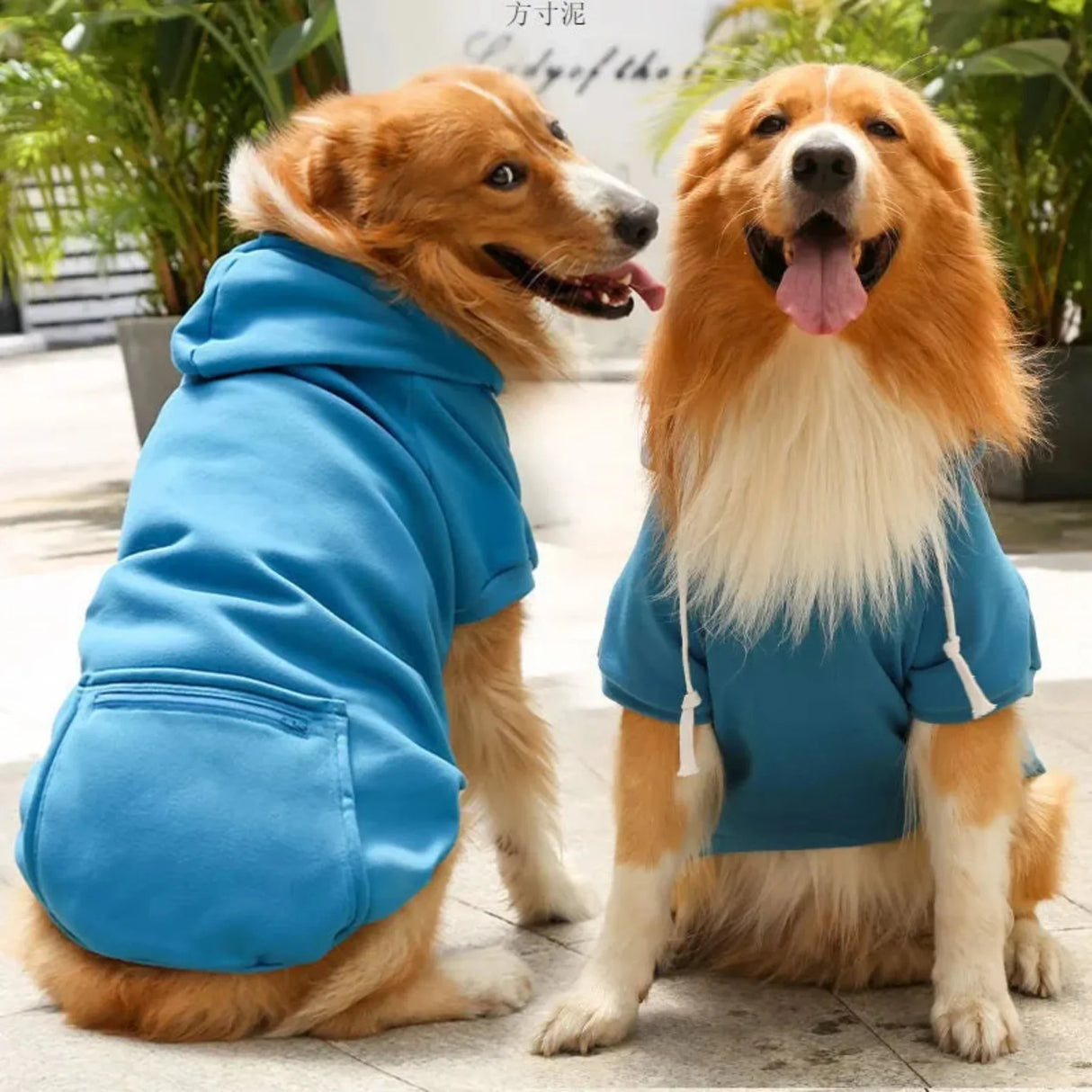 Autumn and Winter Dog Clothes dog Sport Hoodies Sweatshirts Warm Coat Clothing for Medium Large Dogs Big Dogs Pets Puppy Outfi