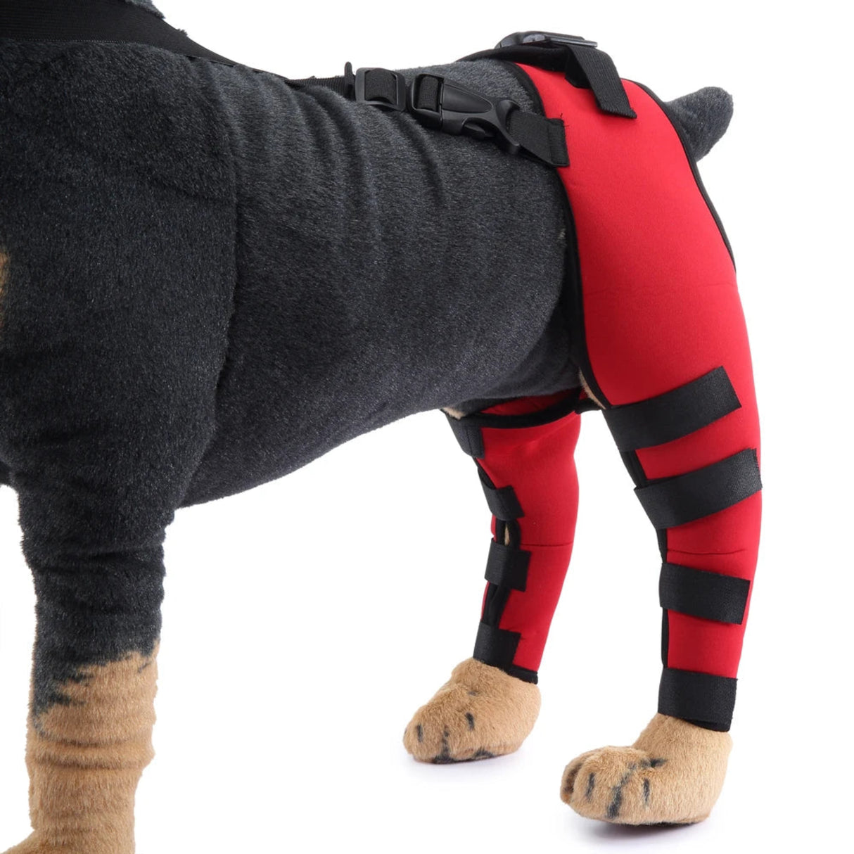 2Pcs Dog Knee Brace For Small Medium Dog Orthosis Pet Knee Pads Adjustable Hind Legs Wrap Injury Recover Protector Care Prevent