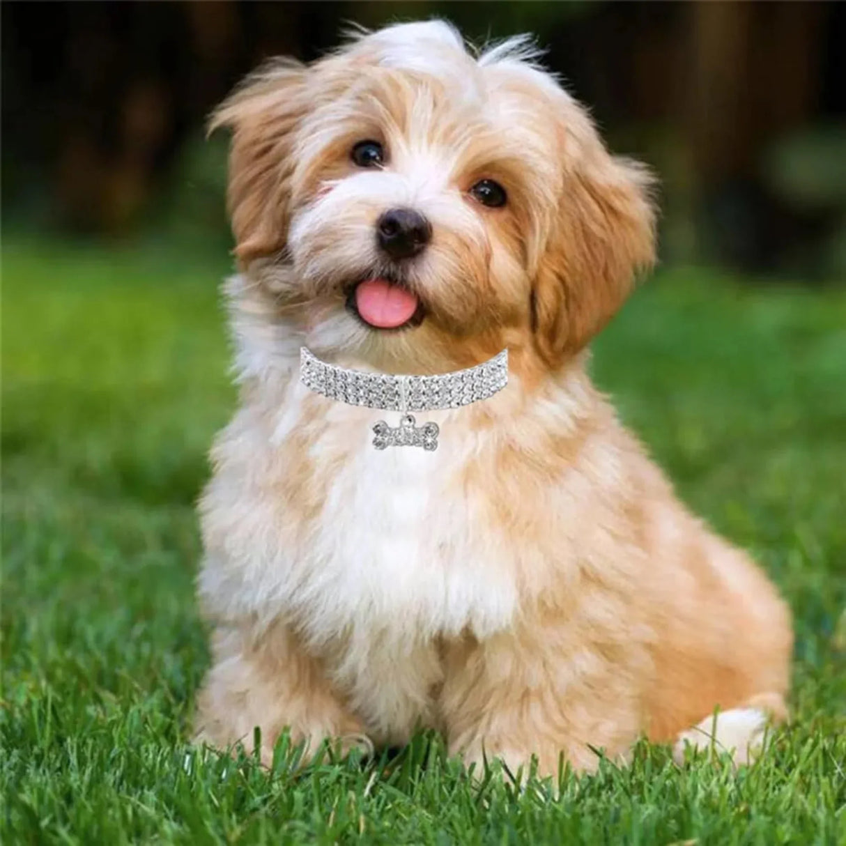 Bling Rhinestone Dog Collar Diamond Pet Cat Necklace Jewelry Suitable For Pets Birthday Party Decoration Supplies Accessories