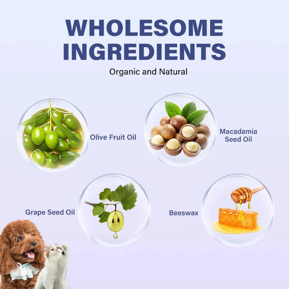 1PCS Dog Paw Balm Moisturizing Natural Cream Cat Paw Wax Nose Protector Moisturizer Pet Crack Feet Repair Winter Care Supplies