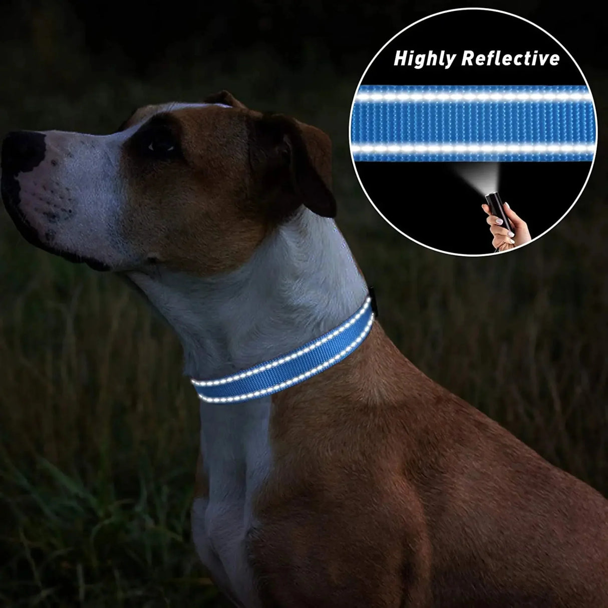 Secure & Adjustable  Dog Collar - High-Visibility Reflective Nylon, Perfect for Nighttime Safety, Comfort Fit with Quick Release