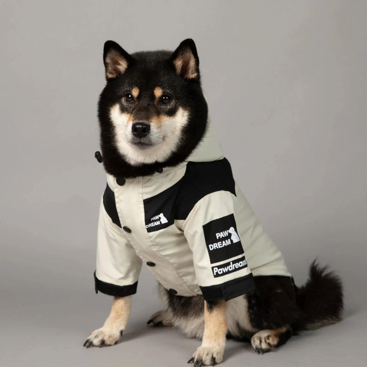 PawDream Dog Clothes Raincoat For Small Big Dogs Wind Coat Windbreaker French Bulldog Hoodie For Dogs Clothes Jacket Chihuahua