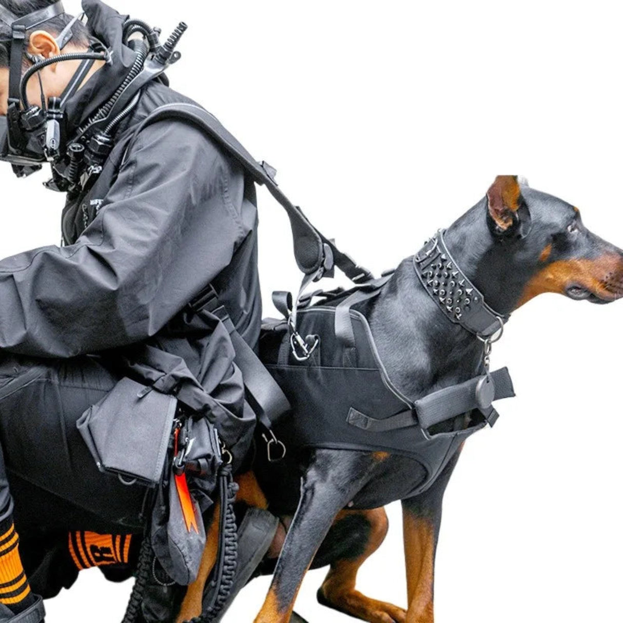 Outdoor carrier for large dogs pet carrier bag Dog carrier dog backpack carrier for Hiking & Mountaineering travel dog carrier