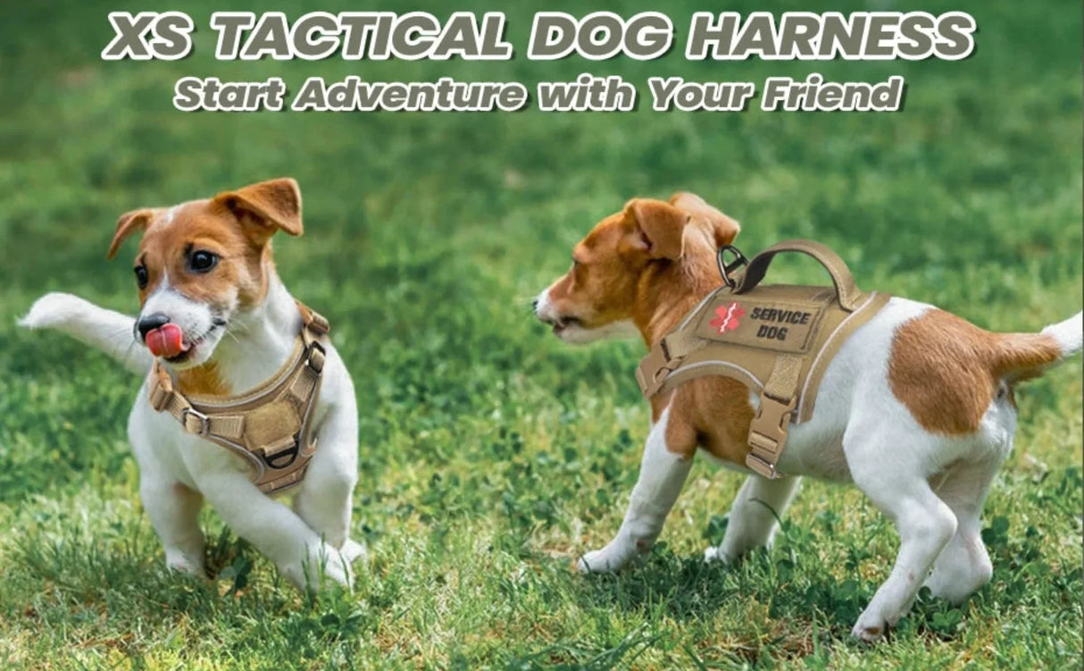 Tactical Dog Harness for Small Dogs - Military Service Dog Vest with Vertical Handle and Reflective Vest for Outdoor Training