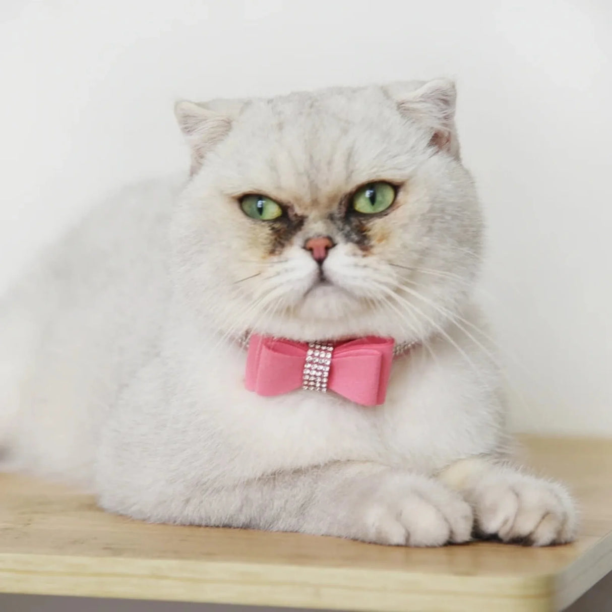 Colorful Collar Crystal-Dog Collar with Bow-Tie Rhinestone Puppy Collars Bling for Small Dogs/Cats Gift Present for Pets