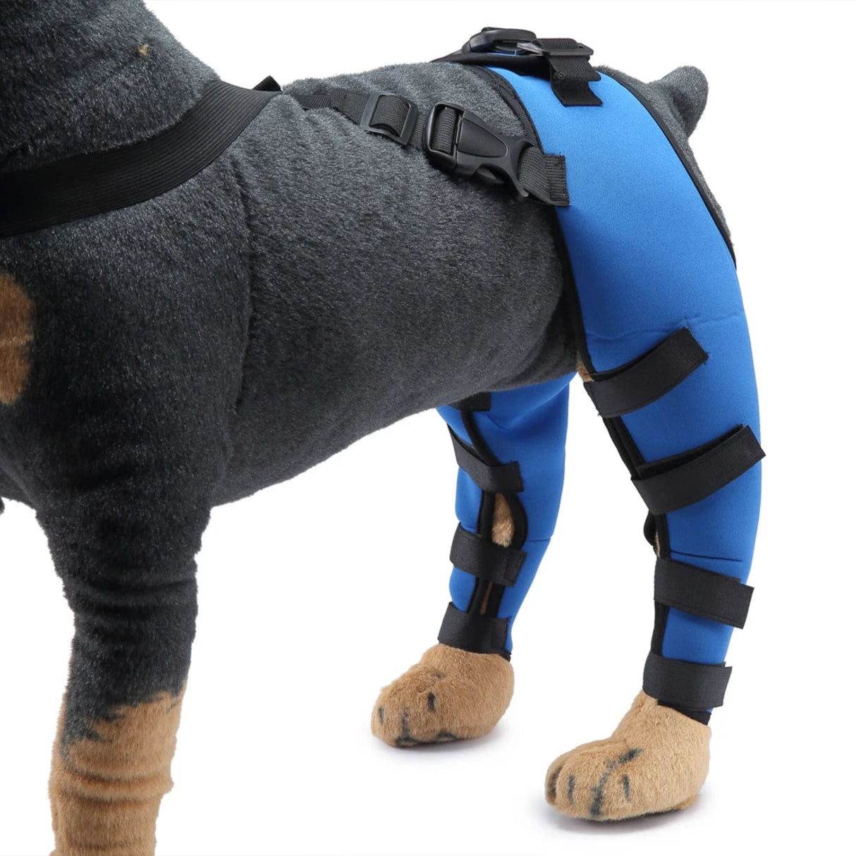 2Pcs Dog Knee Brace For Small Medium Dog Orthosis Pet Knee Pads Adjustable Hind Legs Wrap Injury Recover Protector Care Prevent