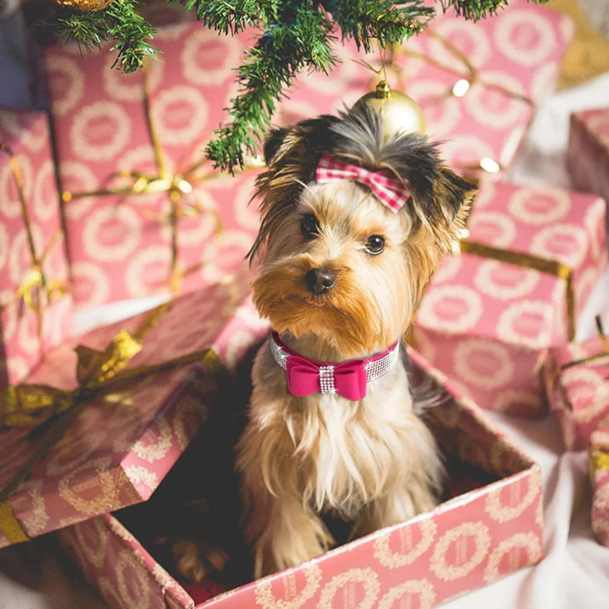 Small Medium Bling Rhinestone Suede Leather Bowknot Accessories Dog Collar Adjustable Pet Puppy Kitten Pug Necklace Collars