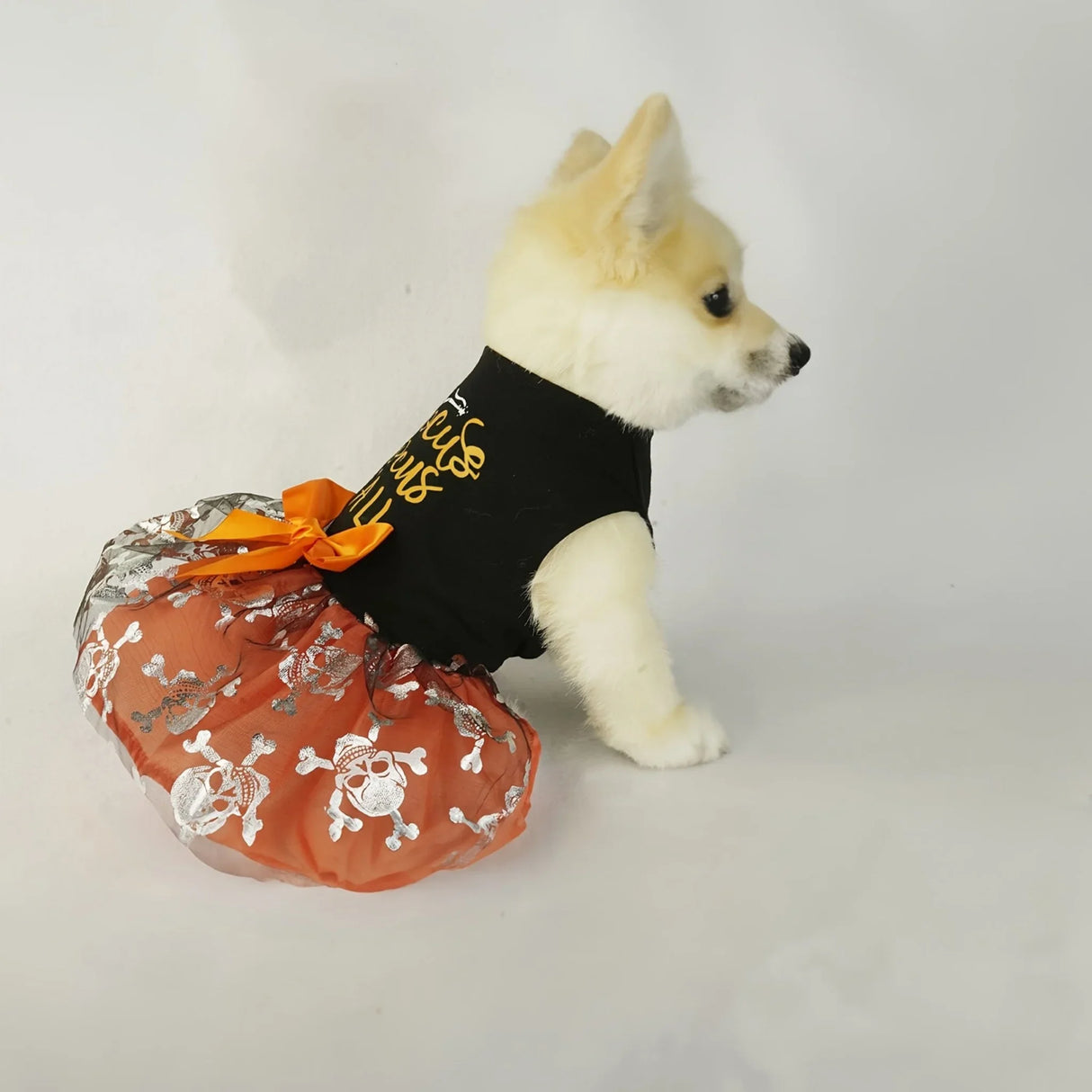 Funny Dog Halloween Tulle Dress, Holiday Dog Clothes For Small Dogs Girl, Funny Pirate Skull Pet Costume, Witch Cat Outfit