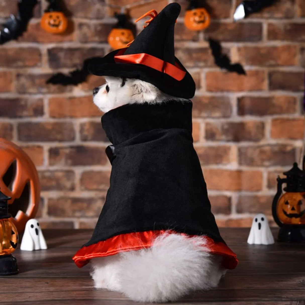 Halloween Pet Costume - Cute Wizard Outfit with Black Hat & Cape, Soft Polyester Costume for Small Dogs, Puppies, Cats - Easy-to-Wear Halloween Party Costume for Trick-or-Treat, Photo Shoots - Perfect for Halloween Celebratio