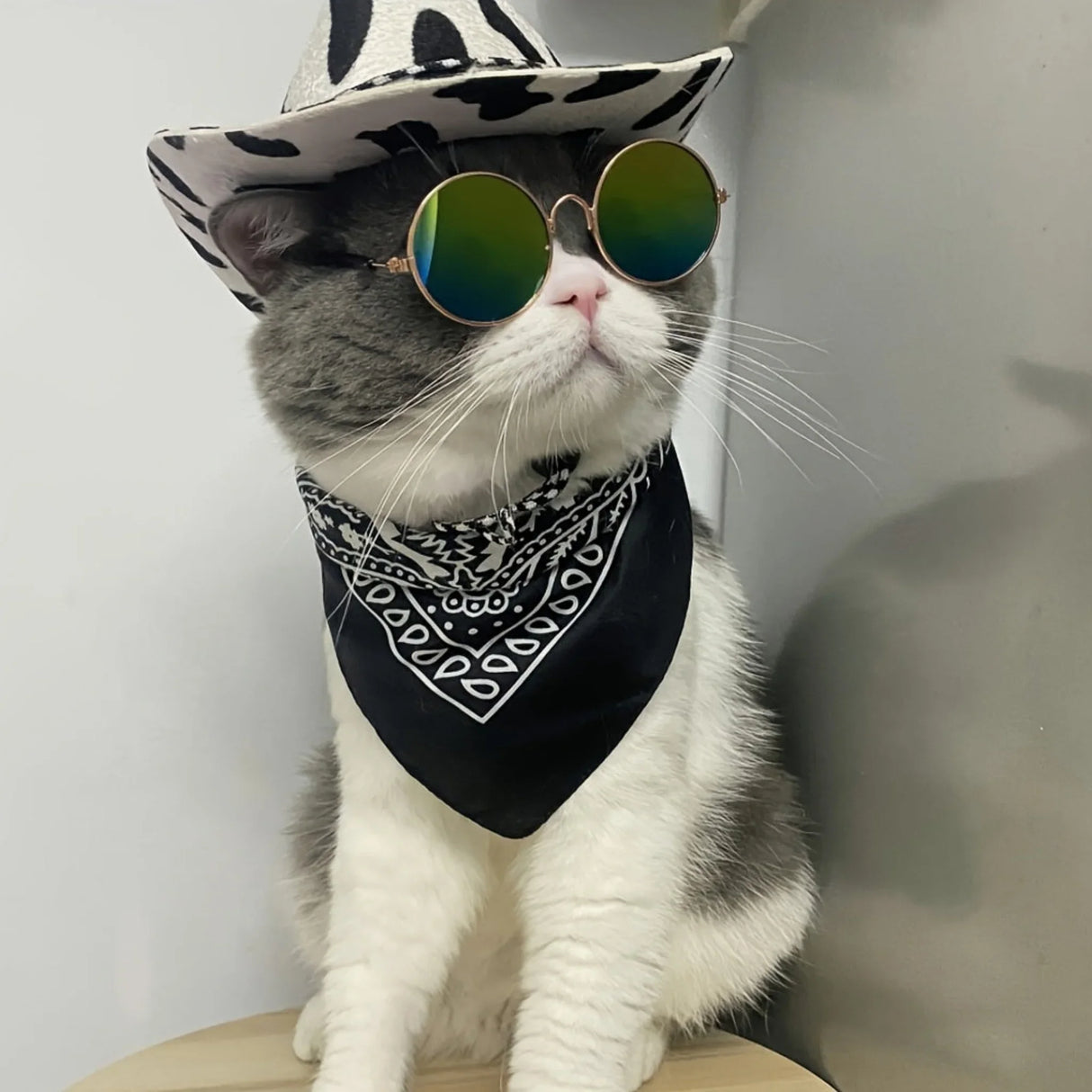 Dog Cowboy Costume Pet Cowboy Hat For Pet Dogs Cat Cowboy Hat With Bandana Scarf Set Party Accessories