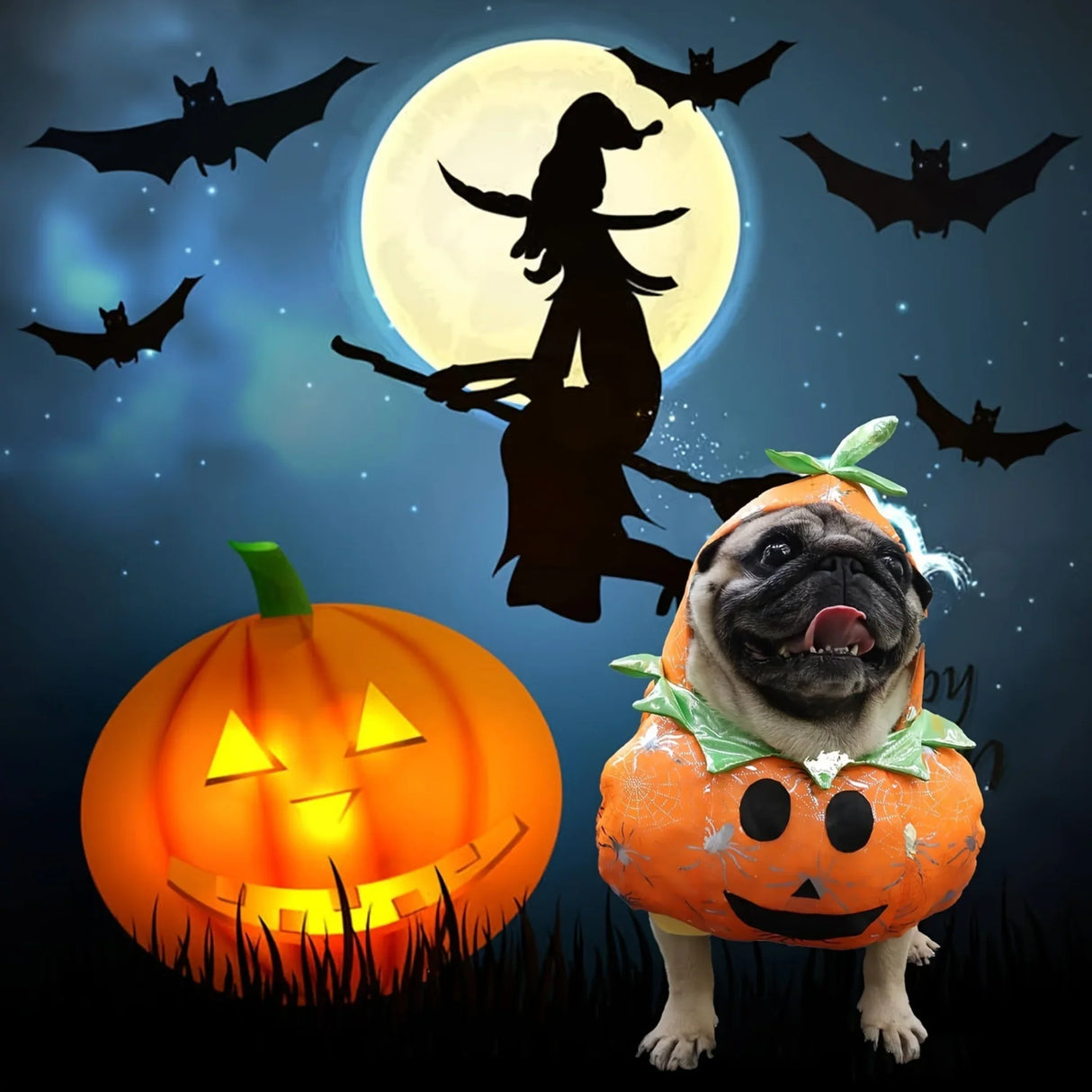 Halloween Pumpkin Dog Costume with Witch Hat - Fun Cosplay Outfit for Small to Medium Dogs and Cats, Includes Pumpkin Headgear, Perfect for Holiday Parties, Machine Washable Polyester, Festive Pet Wear|Halloween Clothing|Dura
