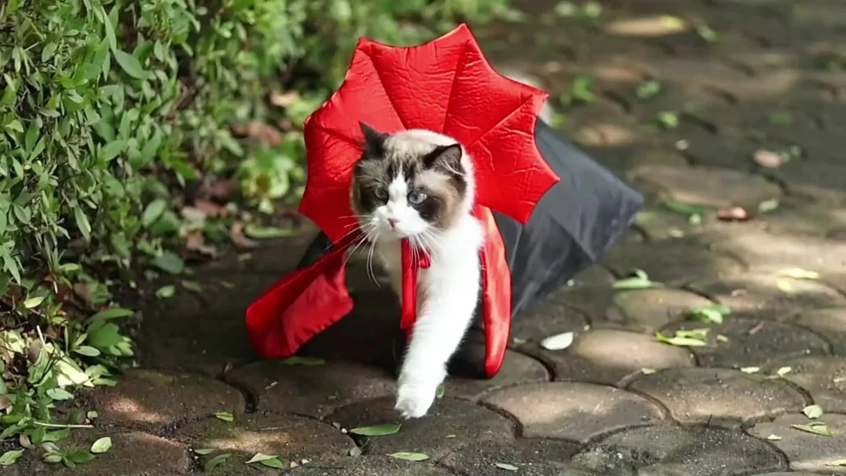 Vampire Devil Dog Costume - Halloween Costumes for Small, Medium, Large Dogs - Red and Black Cloak Cape, Spooky Pet Outfit for Howl-o-ween Night