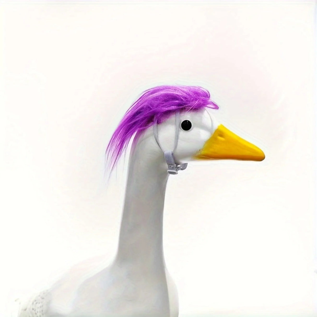 One funny and interesting pet headgear | for cats and dogs |  |  | for festivals and parties | festivals and parties | cute and fun |