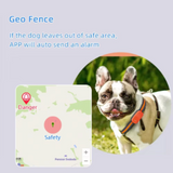 Rastreador GPS inteligente 4G para gatos y mascotas, sensor G 3D, resistente al agua, antipérdida, collar rastreador en tiempo real, localizador GPS de larga duración, accesorios para perros 