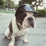 Fashion Safety Protection Outdoor Ridding Cap Pet Supplies Cat Hat Dog Helmets