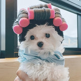 [Adjustable Cartoon Party Hat] Whimsical Cartoon Pet Party Hat - Soft, Lightweight, Adjustable Headgear for Cats & Dogs with Magic Tape Closure and Comfortable Wear