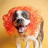 Playful Pink Leopard Print Pet Wig for Dogs & Cats - Fun Role-Playing Headwear with Golden "3K" Balloons, Perfect for Parties & Photo Shoots, Wig Accessories