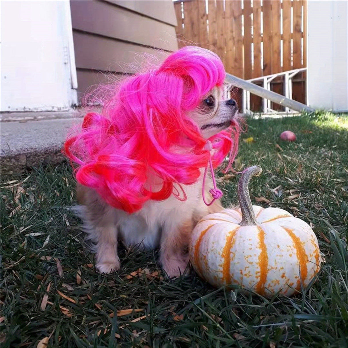 Playful Pink Leopard Print Pet Wig for Dogs & Cats - Fun Role-Playing Headwear with Golden "3K" Balloons, Perfect for Parties & Photo Shoots, Wig Accessories