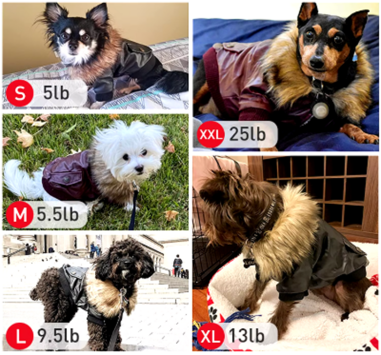 ATUBAN Abrigos de cuero para perros Abrigo de invierno impermeable para perros Chaquetas para cachorros para perros pequeños y medianos Ropa para mascotas Ropa para perros Ropa de invierno