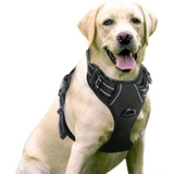 Reflective Adjustable Pet Dog Harness, Breathable Vest, Chest Strap, Small, Medium, Large Dogs Collar