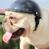 Fashion Safety Protection Outdoor Ridding Cap Pet Supplies Cat Hat Dog Helmets