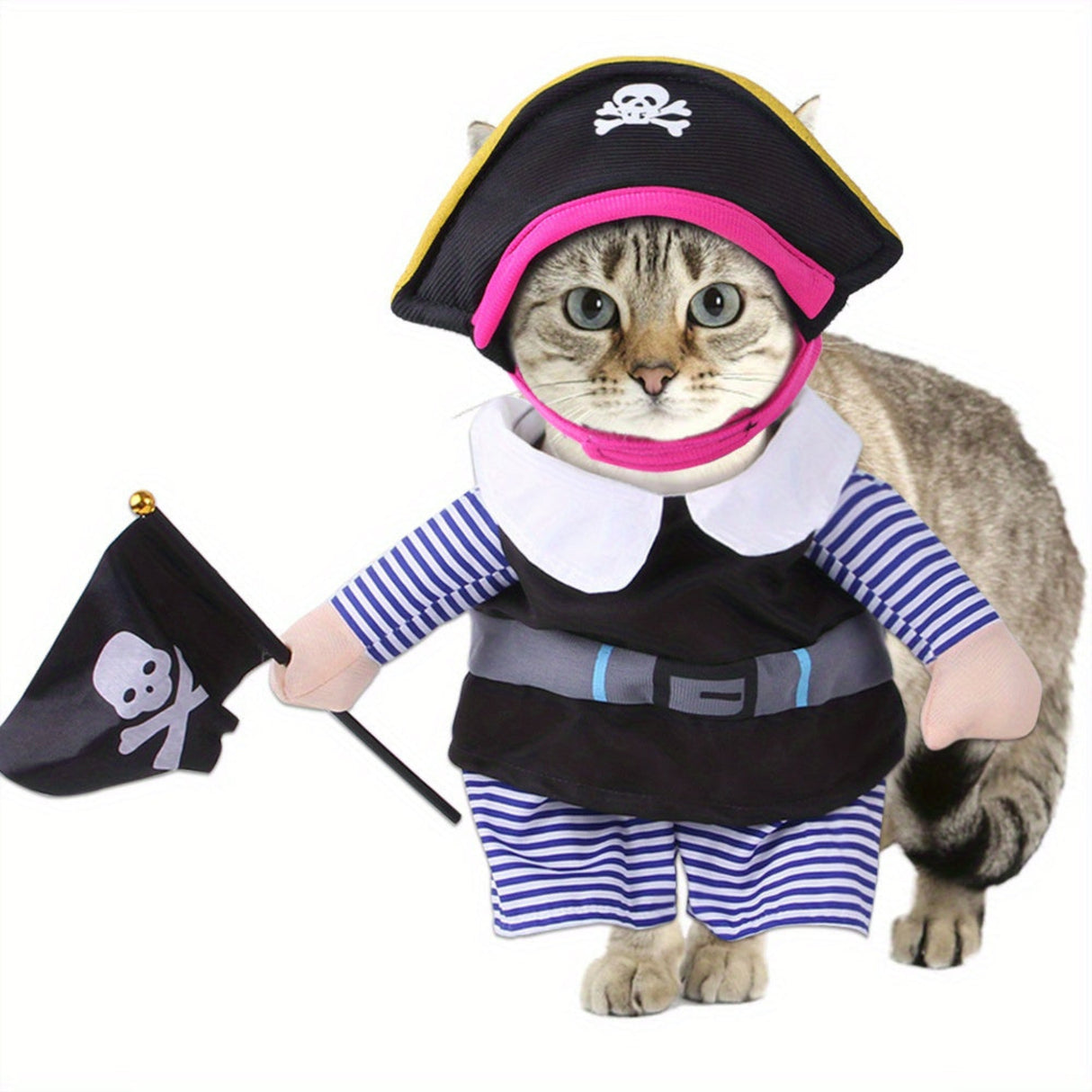 Pet Transformation Outfit New Pirate Standing Outfit Pirate Look, Dog Outing, Cat Funny Makeover Clothes