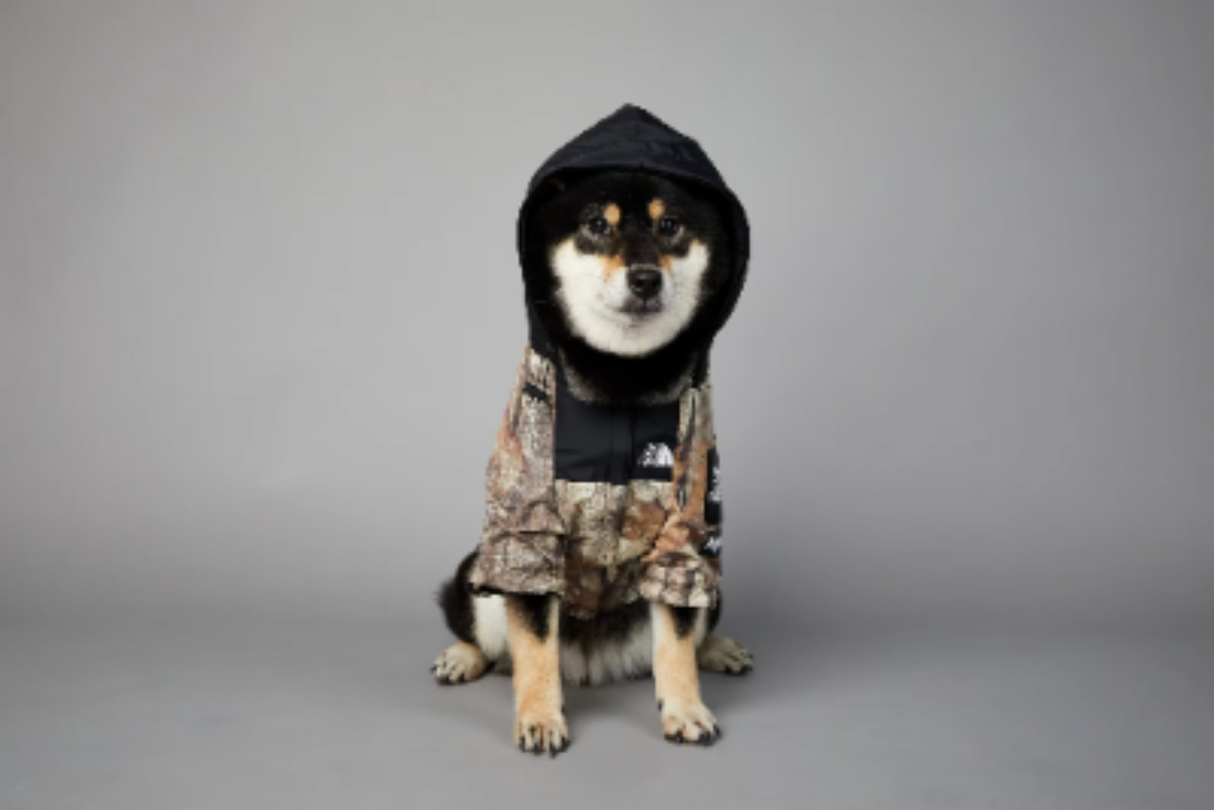 Ropa impermeable para perros The Dog Face, chaqueta impermeable de poliéster negra con letras para cachorros, perros lindos, ropa para mascotas Bulldog francés