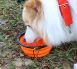 Cuenco plegable de silicona para comida y agua para mascotas, para acampar al aire libre, para viajes, portátil, con mosquetón