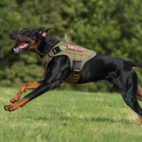 Conjunto de arnés y correa tácticos para perros Chaleco militar para perros K9 Pastor alemán Retriever Entrenamiento táctico para todas las razas de perros 