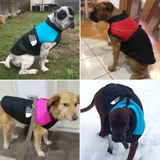 Ropa impermeable y cálida para perros, abrigo para mascotas, chaleco de invierno, chaqueta acolchada con cremallera, ropa para perros pequeños, medianos y grandes, atuendo The Dog Face