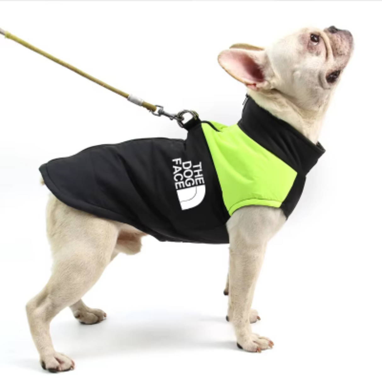 Ropa impermeable y cálida para perros, abrigo para mascotas, chaleco de invierno, chaqueta acolchada con cremallera, ropa para perros pequeños, medianos y grandes, atuendo The Dog Face